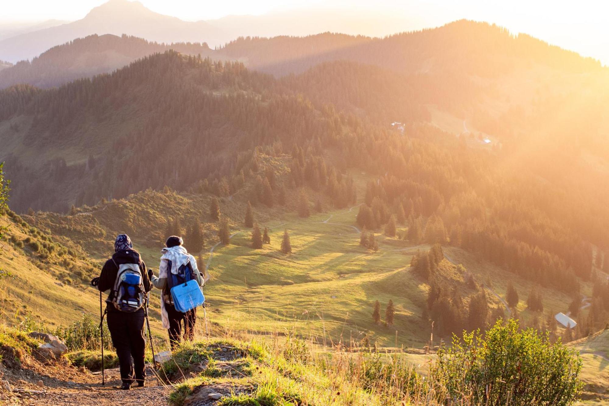 Heimatel - Ferienwohnungen Steibis Oberstaufen Zewnętrze zdjęcie